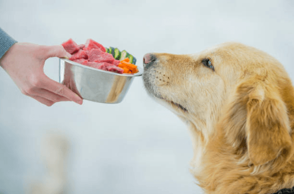 How to make the paw-fact meal for your dog