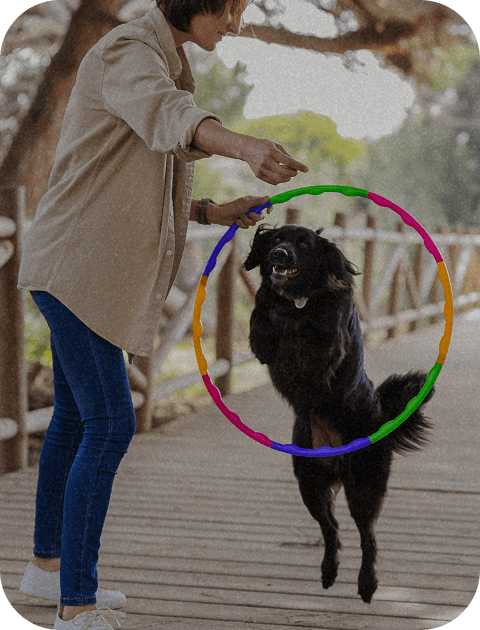 ACTIVITY INSIGHTS