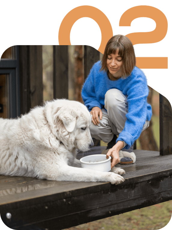 dog boarding women